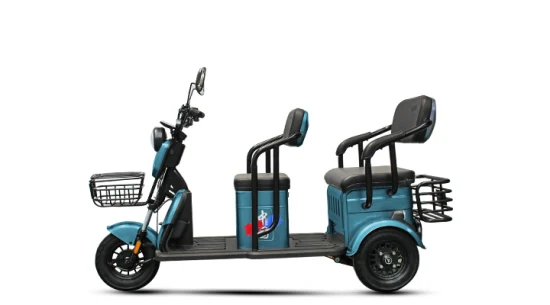 2023 Factorydirect Selling Elektro-Etrike für Erwachsene, Freizeit-Elektro-Lastendreirad, mit Kindersitzen, Familie, täglicher Gebrauch, Einkaufen, elektrischer Dreirad-Roller