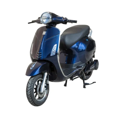 Blue City Scooter Eisenrohrrahmen Zuverlässige Qualität 1000W Elektroroller