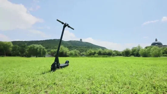 Fd05 Kleine Größe Kleine Räder Roller Elektrischer Günstiger Elektroroller