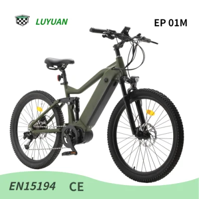 Luyuan Middle Drive Elektro-Stadtfahrrad für Erwachsene