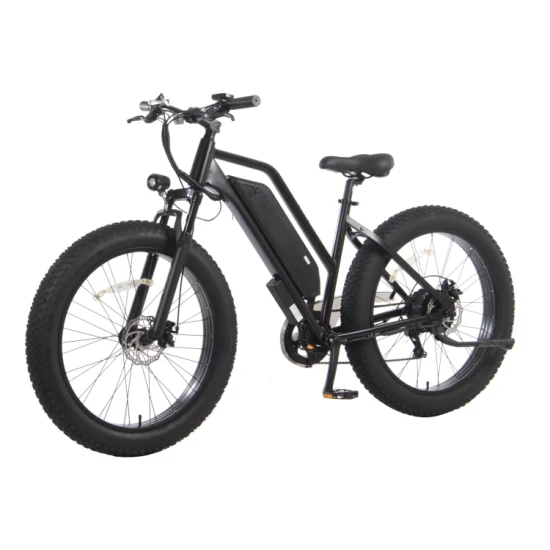 48V 500W Erwachsene zwei Räder 26 Zoll 7 Geschwindigkeit elektrische Dirt Bike Moped Fahrrad elektrische Vorderradaufhängung Fahrrad elektrische Fat Bike