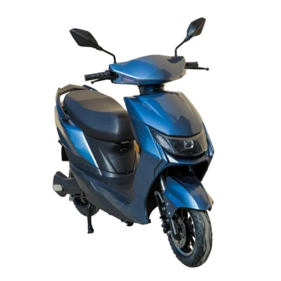 Factory Direct Deal Zuverlässige Qualität City Scooter Blau 1200W Elektroroller